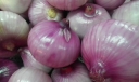 如何挑选健康的洋葱？洋葱的选购方法
