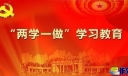 教师党员工作总结两学一做