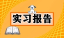 2023暑假实习报告范文
