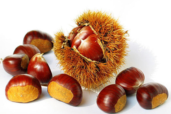 板栗可以和螃蟹一起吃吗 板栗可以和牛奶一起吃吗 板栗可以和螃蟹一起吃吗 板栗可以和牛奶一起吃吗