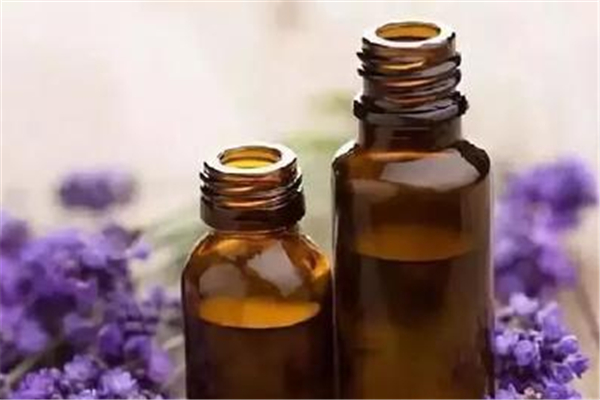 薰衣草精油和什么基础油搭配 薰衣草精油为什么不能直接涂 薰衣草精油和什么基础油搭配 薰衣草精油为什么不能直接涂