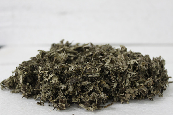 艾叶泡脚可以加冷水吗 艾叶泡脚艾叶需要煮吗 艾叶泡脚可以加冷水吗 艾叶泡脚艾叶需要煮吗