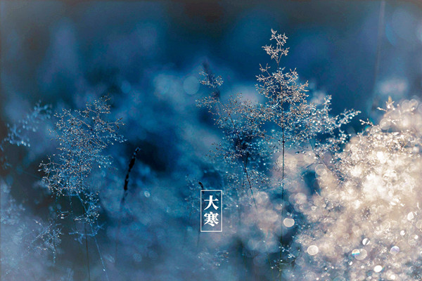 大寒节气过了还冷吗 大寒和小寒哪个更冷 大寒节气过了还冷吗 大寒和小寒哪个更冷