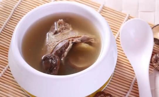 炖鸽子能放盐吗?炖鸽子不能放什么料?