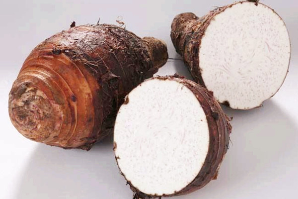 芋头能和牛奶一起吃吗 芋头能和螃蟹一起吃吗 芋头能和牛奶一起吃吗 芋头能和螃蟹一起吃吗