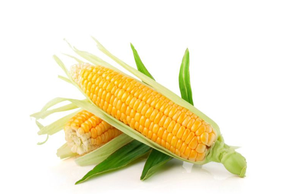 玉米是凉性还是热性 玉米是酸性还是碱性 玉米是凉性还是热性 玉米是酸性还是碱性