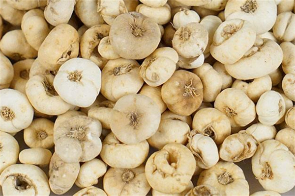 平贝母与川贝母的区别 平贝母是什么