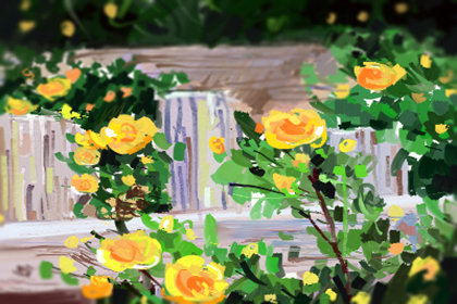 饮食文化 饮食文化