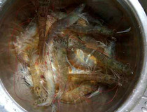 椒盐虾做法 在家也能做出饭店味道椒盐虾1