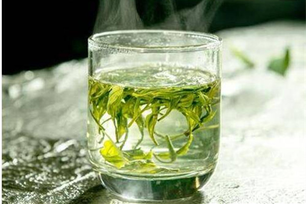 绿茶可以天天喝吗 绿茶一天喝多少合适 绿茶可以天天喝吗 绿茶一天喝多少合适