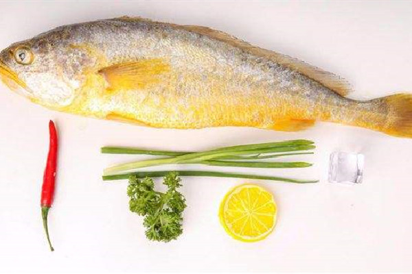 黄花鱼要去鱼鳞吗 黄花鱼处理方法 黄花鱼要去鱼鳞吗 黄花鱼处理方法