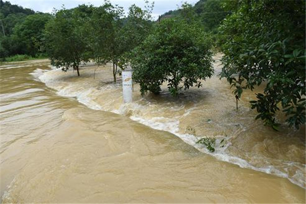 洪涝会造成什么伤害 洪涝对我们生活的影响