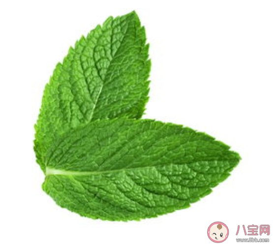 抽薄荷烟会更容易上瘾和致癌 薄荷烟有什么危害 抽薄荷烟会更容易上瘾和致癌 薄荷烟有什么危害