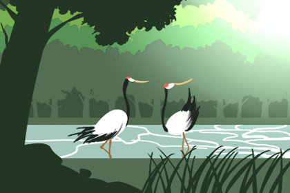 孕妇饮食 孕妇饮食