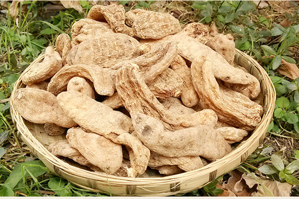 天麻会不会上火 天麻会过期吗 天麻会不会上火 天麻会过期吗