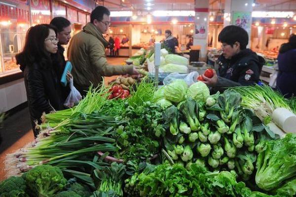 蔬菜是植物类吗 蔬菜是酸性还是碱性食物