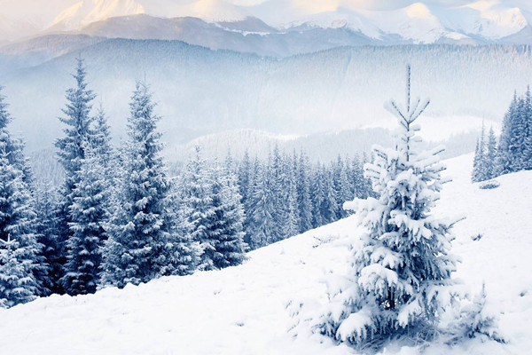 大寒是最冷的节气吗 大寒节气的含义是什么 大寒是最冷的节气吗 大寒节气的含义是什么