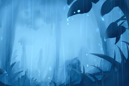 中国红是什么茶 是红茶吗