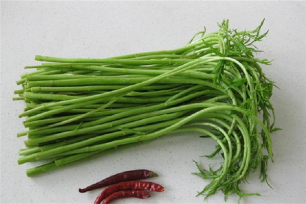 泥蒿吃叶子还是吃杆 泥蒿吃什么地方