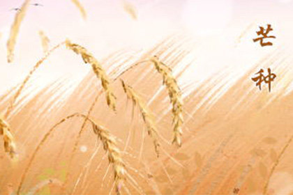 2020芒种吃什么水果好 有哪些功效 2020芒种吃什么水果好 有哪些功效