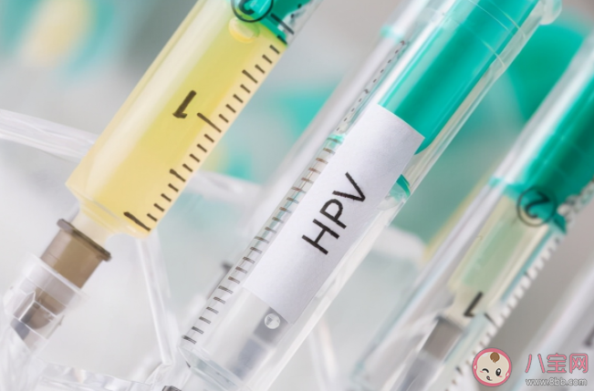 国产2价疫苗预防效果怎么样 进口2价VS国产2价选哪个好 国产2价疫苗预防效果怎么样 进口2价VS国产2价选哪个好