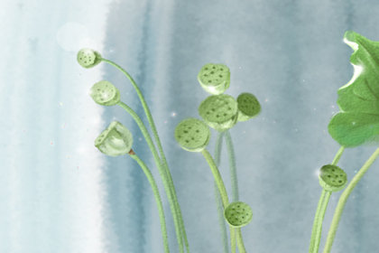 炎热夏季防暑注意事项 炎热夏季防暑注意事项