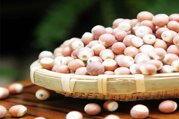 芡实会不会上火 芡实会不会胀气 芡实会不会上火 芡实会不会胀气