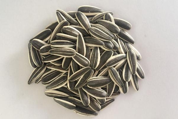 葵瓜子有哪些口味 葵瓜子有什么营养价值