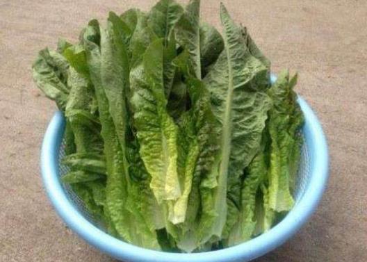 莴笋叶不焯水能凉拌吗?莴笋叶需要用水焯一下吗