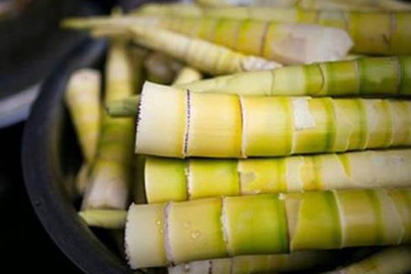 春笋有点黑还能吃吗 春笋会过敏吗 春笋有点黑还能吃吗 春笋会过敏吗