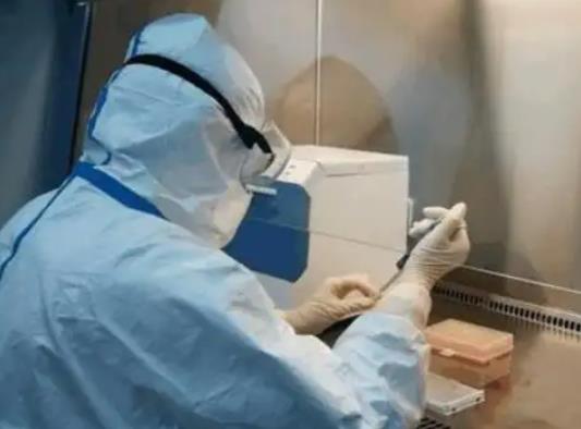 3天2次核酸检测后黄码能变回来吗?三天两检怎么算时间