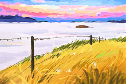 玫瑰花茶 玫瑰花茶