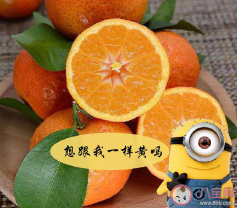 橘子一天最多吃几个 橘子吃多了会怎样 橘子一天最多吃几个 橘子吃多了会怎样