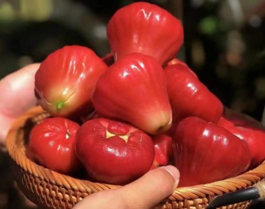 莲雾越大越容易空心吗?莲雾红宝石和黑金刚哪个好吃