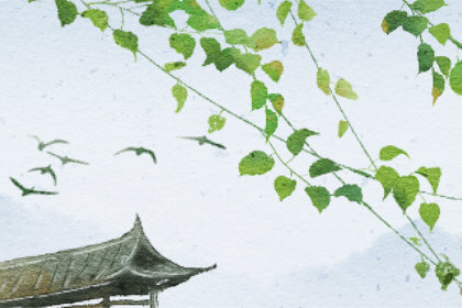 过年适合吃什么水果 5种水果适合过年 过年适合吃什么水果 5种水果适合过年