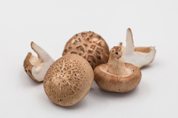 香菇哪些人不能吃 香菇怎样挑选 香菇哪些人不能吃 香菇怎样挑选