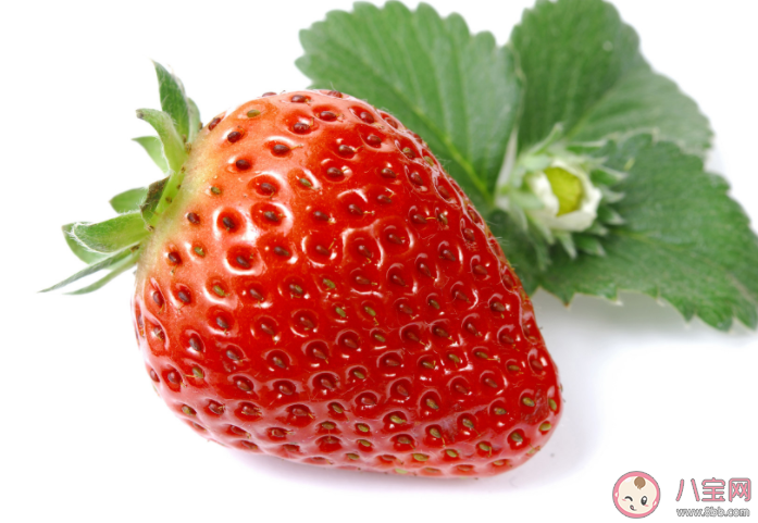 草莓为什么评为最脏水果 草莓怎么清洗干净 草莓为什么评为最脏水果 草莓怎么清洗干净