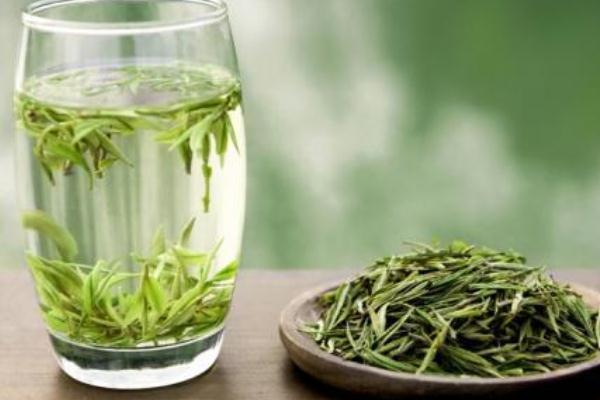 安吉白茶要多少度水泡 安吉白茶要放冰箱保存吗 安吉白茶要多少度水泡 安吉白茶要放冰箱保存吗