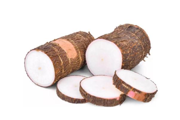 木薯是山药吗 木薯是发物吗 木薯是山药吗 木薯是发物吗