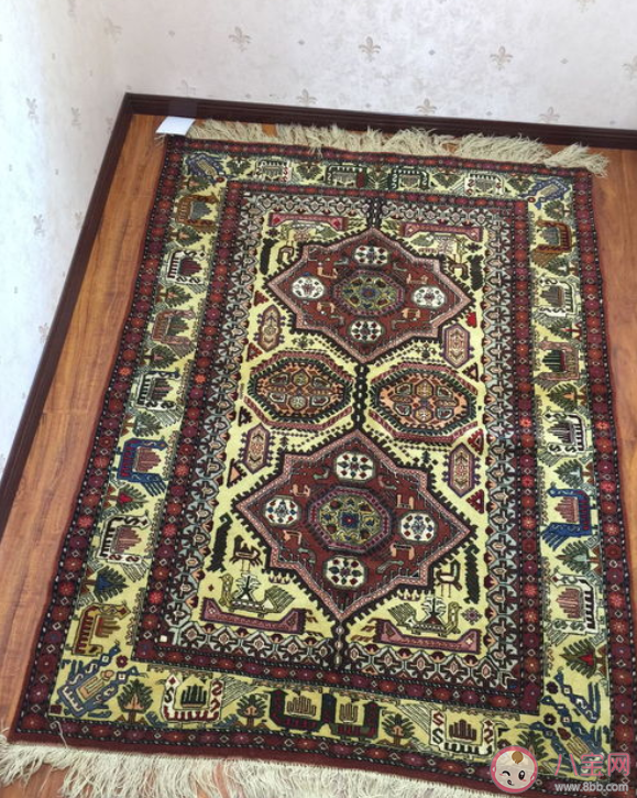 地毯有多脏 地毯有污渍怎么处理干净 地毯有多脏 地毯有污渍怎么处理干净