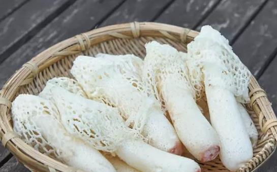 尿酸高可以吃竹荪?吃竹荪会回奶吗?