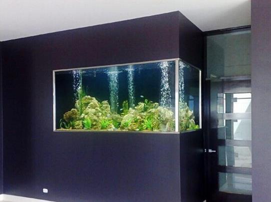 亚克力鱼缸好还是玻璃鱼缸好?亚克力鱼缸为啥淘汰了?