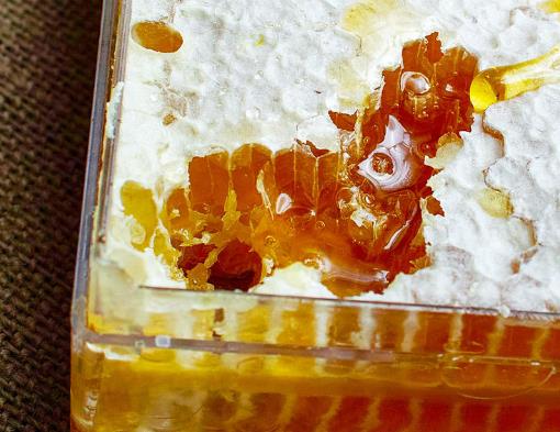 老巢蜂蜜好还是新蜂蜜好?为什么说老巢蜜对鼻炎有好处?