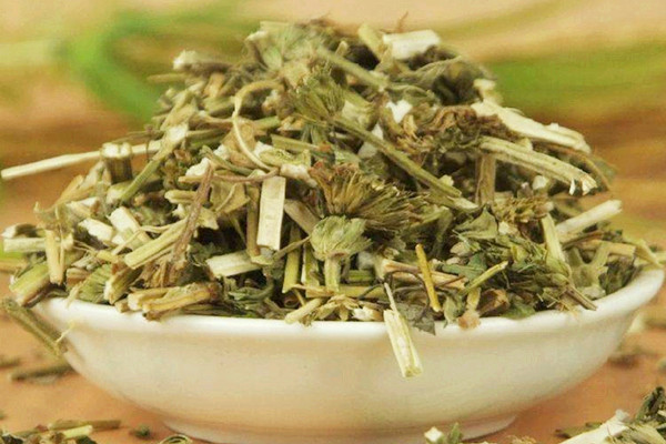 益母草孕妇可以吃吗 益母草能否与红糖一起食用 益母草孕妇可以吃吗 益母草能否与红糖一起食用