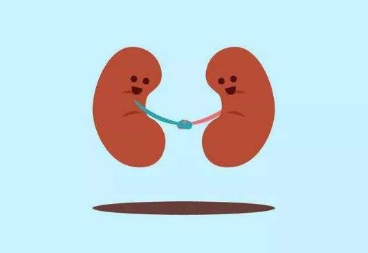 肾结晶多久变成结石?肾结晶吃什么食物好