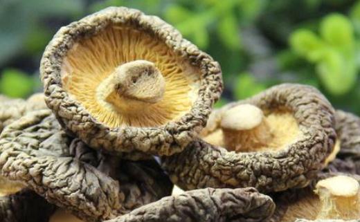 干香菇一般要泡多久才能食用 干香菇怎么食用最佳