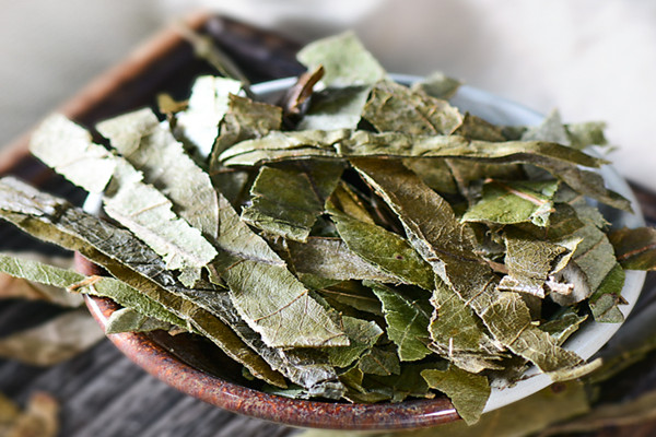 枇杷叶能和川贝一起煮吗 枇杷叶能和麦冬一起煮水吗 枇杷叶能和川贝一起煮吗 枇杷叶能和麦冬一起煮水吗