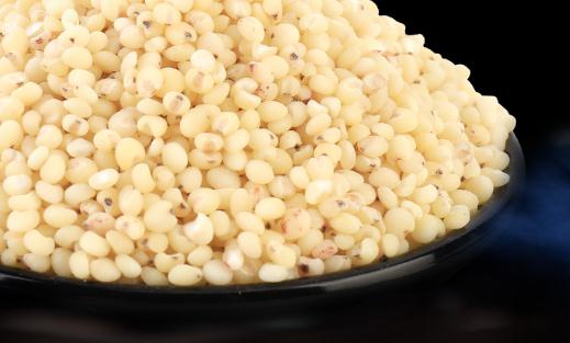 吃高粱米可以减肥吗 高粱米吃了有什么好处