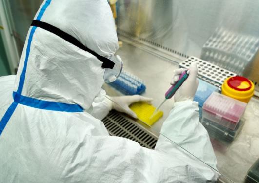 上高速可以用核酸检测电子报告吗?上高速核酸检测是48小时内有效吗