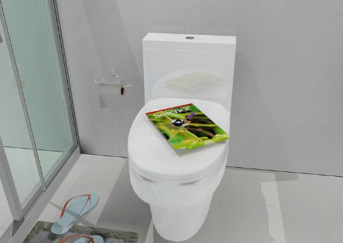 马桶防溢器安装 马桶防溢器安装及安装注意事项